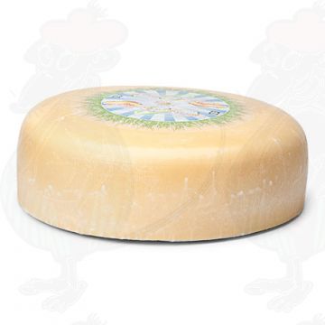 Ung lagrad ekologisk ost | Ytterligare kvalitet | Helost 7,5 kilo