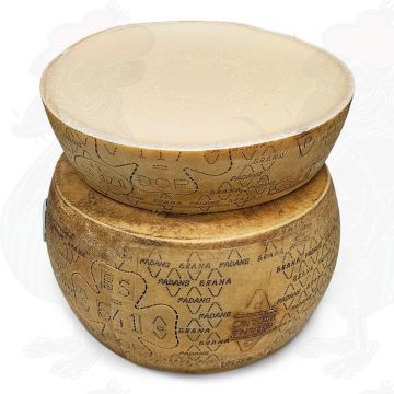 Grana Pedano-ost | 20 kg - Halv ost - Skål