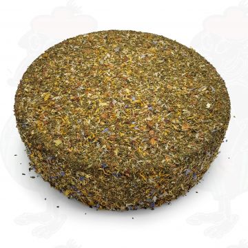 Höblommaost | Hel ost 11 kilo