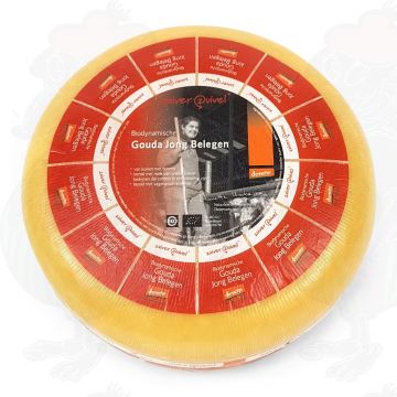 Ung lagrad Gouda biodynamisk ost - Demeter | Hel ost 12 kilo