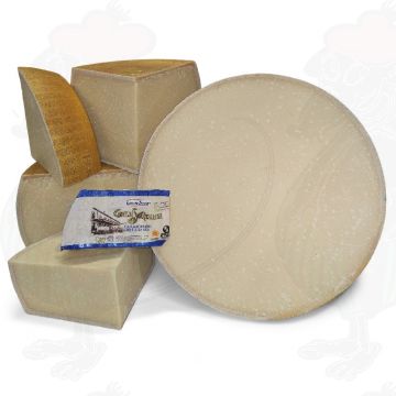 Parmigiano Reggiano 24 månader | Premiumkvalitet | 875 gram