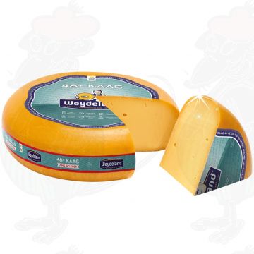 Weydeland 48+ Ung Lagrad