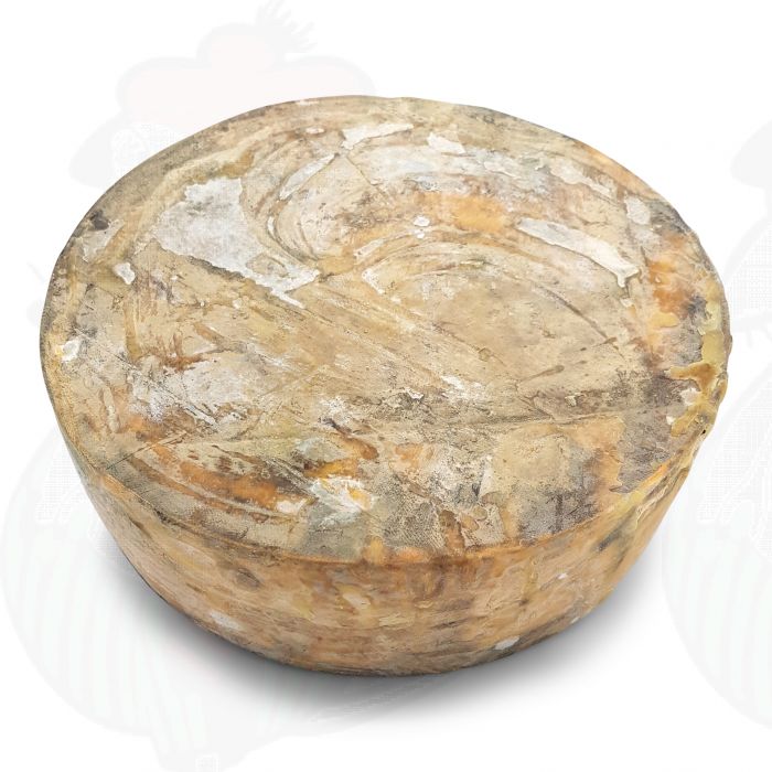 Åldrig leicestershire röd | Helost 3,6 kilo main product photo