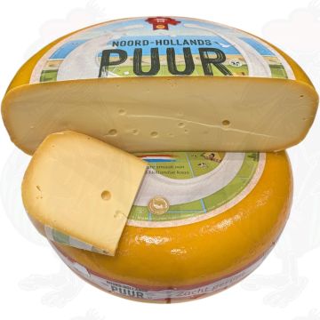 North Holland Gouda Young Mognat