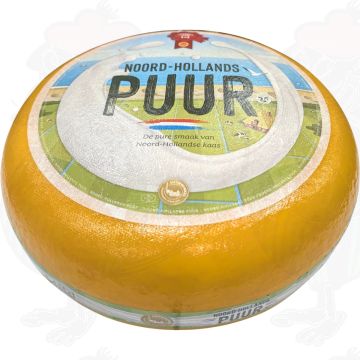 Unga North Holland Gouda med Röda Sigill | Hel ost 13 kilo