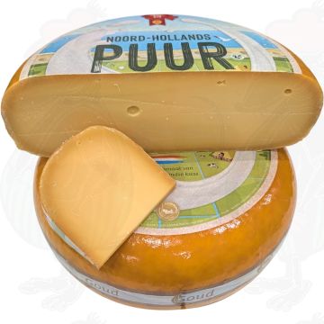 Gammal North Holland Gouda ost